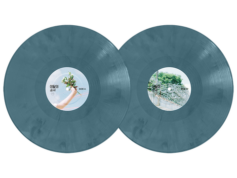 [+ +] Vinyl Disc · Side A & B